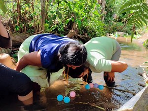 68K views · 2.5K reactions | Jugando en el bosque. | Chicas del Bosque | Facebook