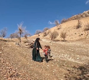 1.7K views · 37 reactions | Survival Skills- Homeless Nomadic Woman Gathering Firewood in the Desert with Her Children | Village Cooking | Facebook