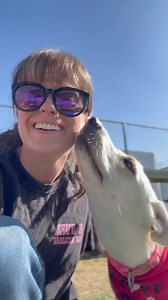 ADOPTED 7/20!! LILLIANA A12041012yo, female, Lab / Husky mix, 39 lbs (underweight)⭐️ so sweet⭐️ gives the paw 🥺⭐️ politely kisses you ⭐️ likes to bury her treats with her nose ⭐️ loving and affectionate⭐️ shy and timid at first ⭐️ startled by loud noises ⭐️ a little underweight⭐️ good with dogs, but suffering from kennel stressTo save, please visit @kern_county_animal_services ASAP! The shelter is understaffed, so it is hard to get through. Call (661)868-7120, (661)868-7128, or (661)868-7130. S