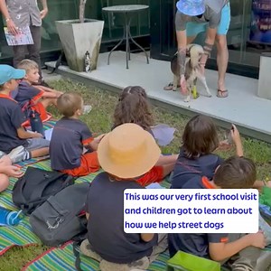 3.7K views · 18 reactions | Happy Doggo on Reels | Facebook