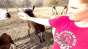 This Did Not Go As Planned!! Episode 193 | Eddy Family Farm