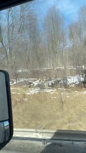 Neffeteria Pugh on Reels