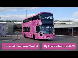 Buses at Heathrow Central