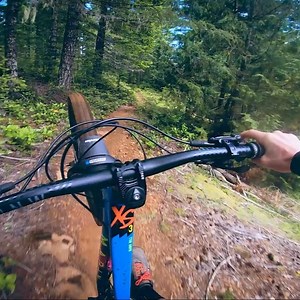 Love this stuff! @marinbikes 🌲 | Mark Matthews