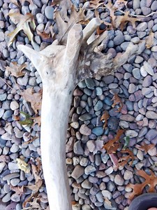 Wooden Wizard Staff Maple Hand Carved Druid Cane Walking Stick Martial Arts Bo Cosplay Halloween Lord of the Rings Gandalf Hobbit - Etsy