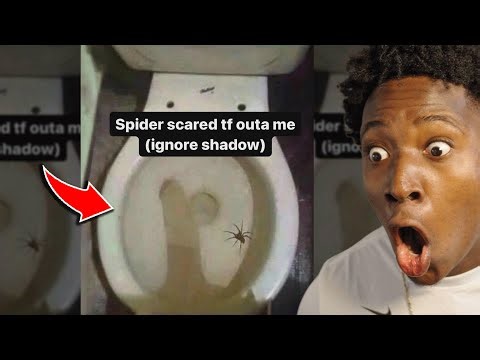 Reacts Day #1 | Zars