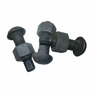 [Hot Item] High Strength Heavy Structure Fix Bolt A325 Tension Control Bolt with Nut Washer
