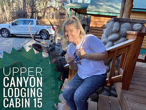 Upper Canyon Lodging Cabin 15 Ruidoso NM
