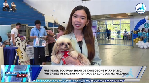 3.3K views · 59 reactions | MALABUENEWS: Bonggang rampa para sa kalikasan! Mga fur babies, bumida at nagpasabog ng cuteness overload sa kauna-unahang Eco-Paw-shion de Tambobong sa Malabon! Kung ano-ano ang mga naganap sa makulit ngunit makabuluhang aktibidad na ito — Alamin sa report ni Abigail Malic. #MalabonAhon #MalabonTV | Malabon TV | Facebook