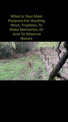 Rack Hunter on Reels