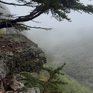 West Virginia Nature Conservancy on Reels