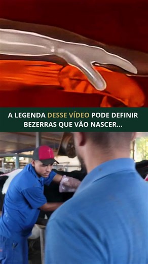 988K views · 8.5K reactions | Dominar os detalhes do manejo...
