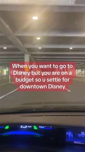 Disney Adult Creator Shares Park Experiences