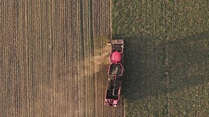 Harvesting Sugar Beets Large Combine Harvester Stock Footage Video (100% Royalty-free) 3750967639 | Shutterstock