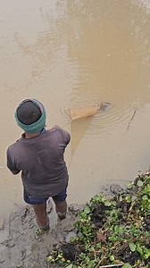 28K views · 84 reactions | Net Fishing - Traditional Net Fishing - Cast Net Fishing With Beautiful Nature (Part-76) | Fishing 24 | Facebook