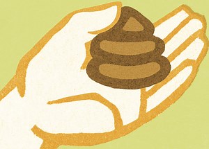 The Results of the First American Gut Project Are In