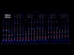 LM404のチューニングサンプル