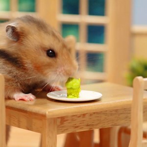 34K views · 317 reactions | We whipped up a tiny treat for our furry little friend  | Nickelodeon | Facebook