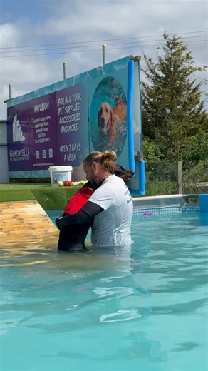 Doberman Reeba is so confident now, kisses & cuddles with Terry are also very important to her 💕🐾💦🇬🇧 | Canine Dip and Dive Maldon