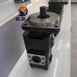 [Hot Item] 580K 580sk Hydraulic Pump D149283 D146608 Parker Pgp330 Piston Pump Loader Backhoe