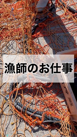 今日も楽しく網仕事！毎日ほんま楽しいわぁ〜！！#定置網 #大型定置網 #大敷 #漁業 #水産業 #早田大敷 #若手漁師 #Iターン #後継者不足 #漁師 #魚好きと繋がりたい#新人漁師 #新人漁師歓迎 #海 #海の仕事 #求人募集中 #海上#釣り好き | 株式会社早田大敷