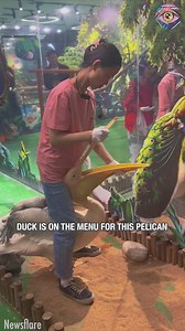 301K views · 538 reactions | Bright Side Fun on Reels | Facebook