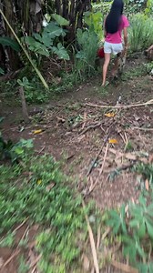 1.1K views · 65 reactions | Ana Walker on Reels | Facebook