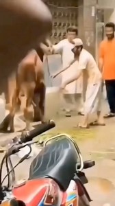 visit na sa The Yard located at school blvrd, STA Maria minalin pampanga♥️ | Kapampangan Hokage