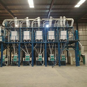 [Hot Item] Wheat/Maize/Corn Flour Mill Machine Price