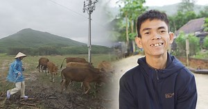 Anh chăn bò trở thành hot TikToker, sao thế giới 'phát cuồng' vì bài hát đếm số