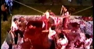 The Action art of Hermann Nitsch | Video