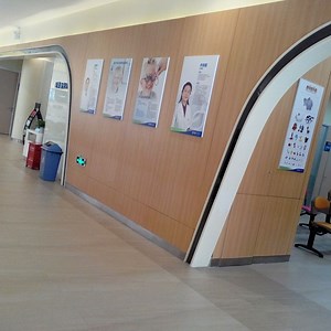 [Hot Item] Fundermax HPL Interior Wall Cladding for Sale