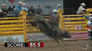 14K views · 792 reactions | Rawley Johnson turns in an 85.5 point ride on The Cervi Brothers' Indian Larry to claim the top spot in Napa   @thorsskyr | CowboyChannel | Facebook