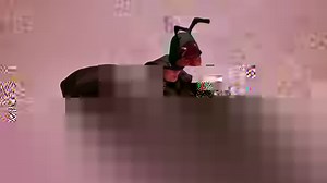 angry ant be like:.... Claire Skin Cambodia DOP Sonasereirith Katam | Sinora Roath