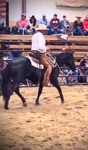 48K views · 1.3K reactions | Punctual calm and soft is my goal on a green colt. Watch more at TheBuckChannel.com #buckbrannaman #thebuckchannel #horsemanship #coltstarting | The Buck Channel - Buck Brannaman Horsemanship | Facebook
