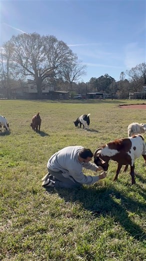 37K views · 3.2K reactions | From zero to Hero | Shirtless Jake's Homestead | Facebook