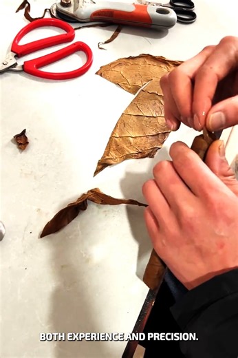 9.2K views · 21 reactions | Timeless Craft of Handmade Cigars #HandmadeCrafts #PremiumCigars | YNP Media | Facebook