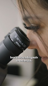 “They have really beautiful fat, the flies do.” 🍇 🪰 That's not the first thing you expect to hear about those pesky insects flying around your ripening bananas, but according to Fred Hutch obesity researcher Akhila Rajan, PhD, studying the 'lard of the flies' could unlock new ways to address chronic obesity in humans. In a study published recently in the journal Current Biology, Rajan and her team describe how a protein known for its role when food is scarce flips a switch when food is plenty 