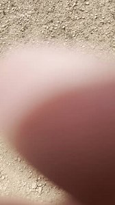 Lost Creek Wilderness, Colorado Wilderness, Pike: video de stock (totalmente libre de regalías) 3890688169 | Shutterstock