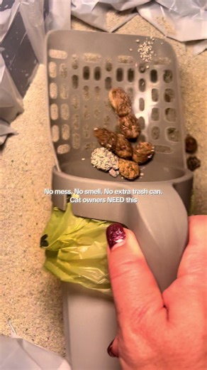 Revolutionary Cat Litter Cleanup Solution