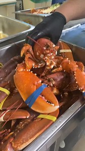 Mount Falcon on Reels | Facebook