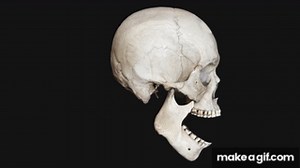 Syringe Method to Self-Reduce TMJ Jaw Dislocation (Open Lockjaw) on Make a GIF