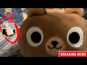 Hamster got lost 🥀