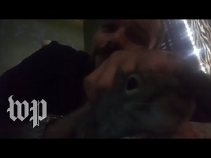An Alabama man was accused of having a meth-fueled 'attack squirrel.' He says that's a lie.