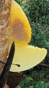 508K views · 3.3K reactions | #successstories #motivationdaily #inspirationdaily #PositiveImpact | Positive Impact | Facebook