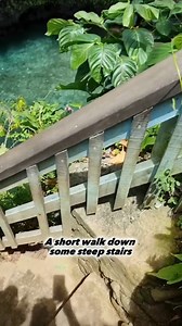 324K views · 3.3K reactions |  A Hidden Gem in Pacific Island - To Sua Ocean Trench, Samoa  “Giant Swimming Hole” is the meaning of To Sua when it is 30 meters deep and heads over to the sea. What an ideal attraction for skilled divers   Besides the stunning cave view, you also will be immersed in the breathtaking look of the nature garden surrounding the cave  ashi_9 #100polynesian #samoa #tosuaoceantrench #pacificisland #summertrip | 100% Pasifika | Facebook