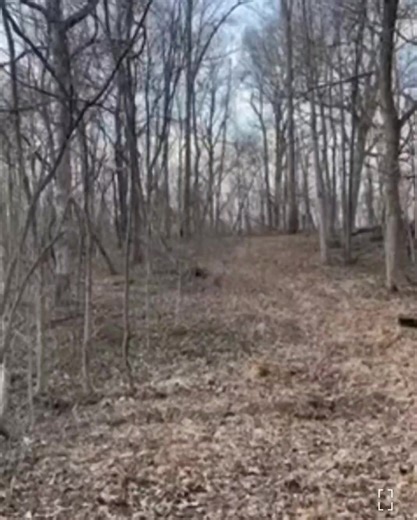 82K views · 2.3K reactions | I remember when this crossover happened. The ringing in my ears and the feeling of being surrounded was so intense I was frozen solid. Amy continued to handle it like it was normal procedure.  ❤️  | The Paranormal Couple | Facebook