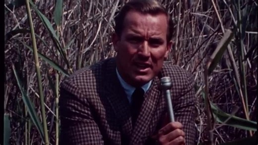 Greetings (1968) de Brian de Palma