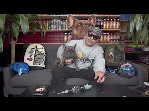 HOW TO USE: Glass nectar collector (tutorial)