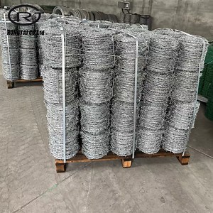 [Hot Item] Barbed Galvanized Wire Concertina Razor Barbed Wire